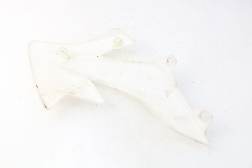 photo de Pannello laterale anteriore destro LIFAN DIRTBIKE 50