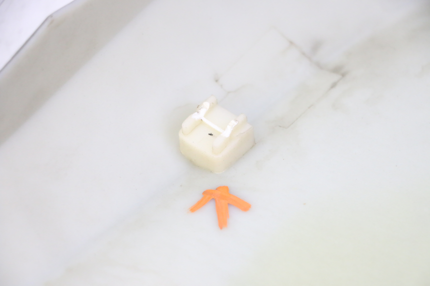 photo de CARENA STAHO FH 50 (2018 - 2019) - Primo piano ad alta risoluzione