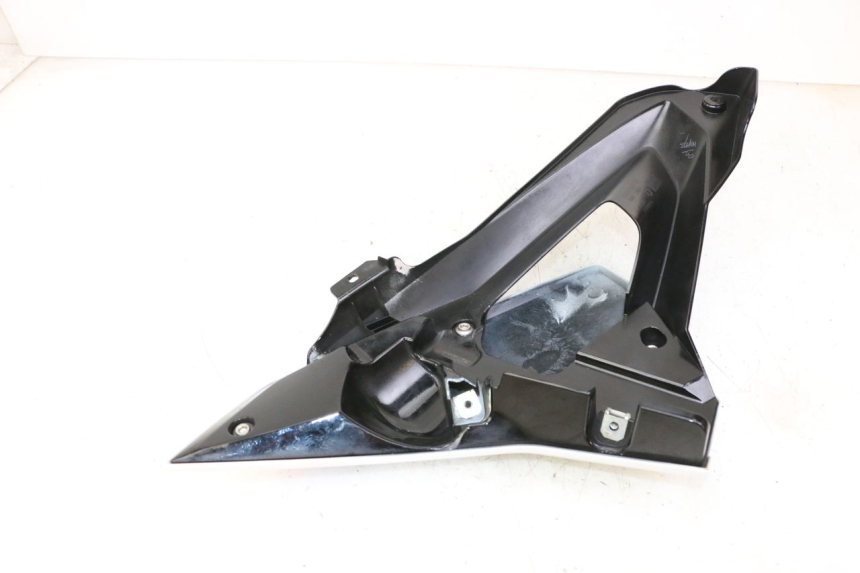 photo de CARENA BMW G310 R 310 (2016 - 2020)