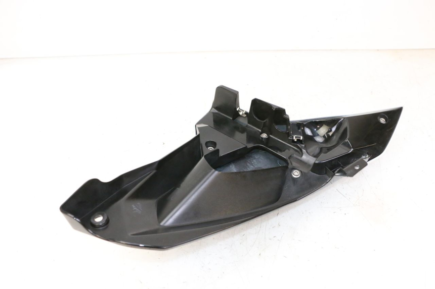 photo de CARENA BMW G310 R 310 (2016 - 2020)