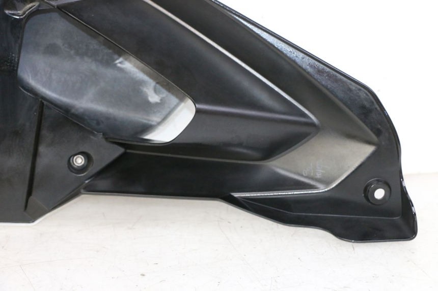 photo de CARENA BMW G310 R 310 (2016 - 2020)