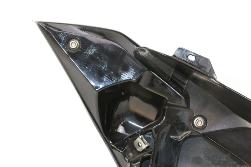 photo de CARENA BMW G310 R 310 (2016 - 2020)