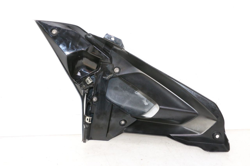photo de CARENA BMW G310 R 310 (2016 - 2020)