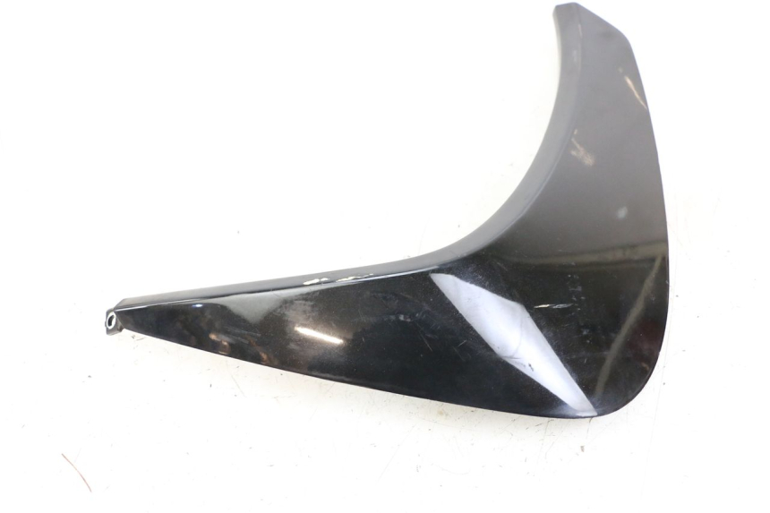 photo de Pannello laterale anteriore destro PEUGEOT GEOPOLIS RS 125 (2007 - 2009)