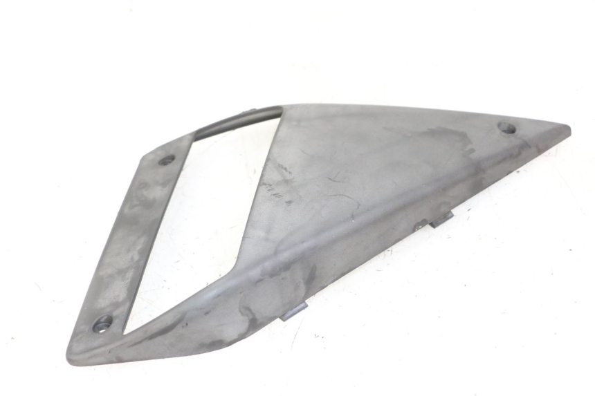 photo de CARENA GILERA NEXUS 300 (2008 - 2013)