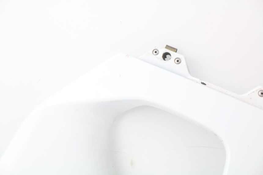photo de Pannello laterale anteriore destro HONDA CBR 919 RR FIREBLADE 900 (1998 - 1999)