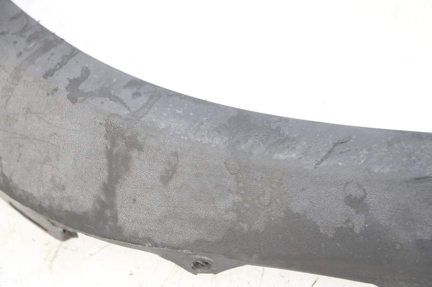 photo de CARENA PIAGGIO MP3 RL 250 (2007 - 2010)
