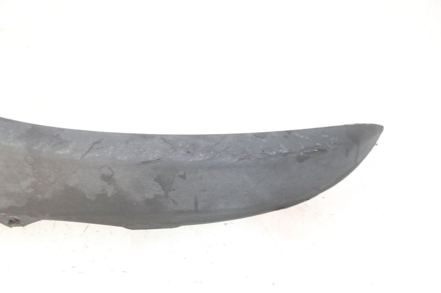 photo de CARENA PIAGGIO MP3 RL 250 (2007 - 2010)