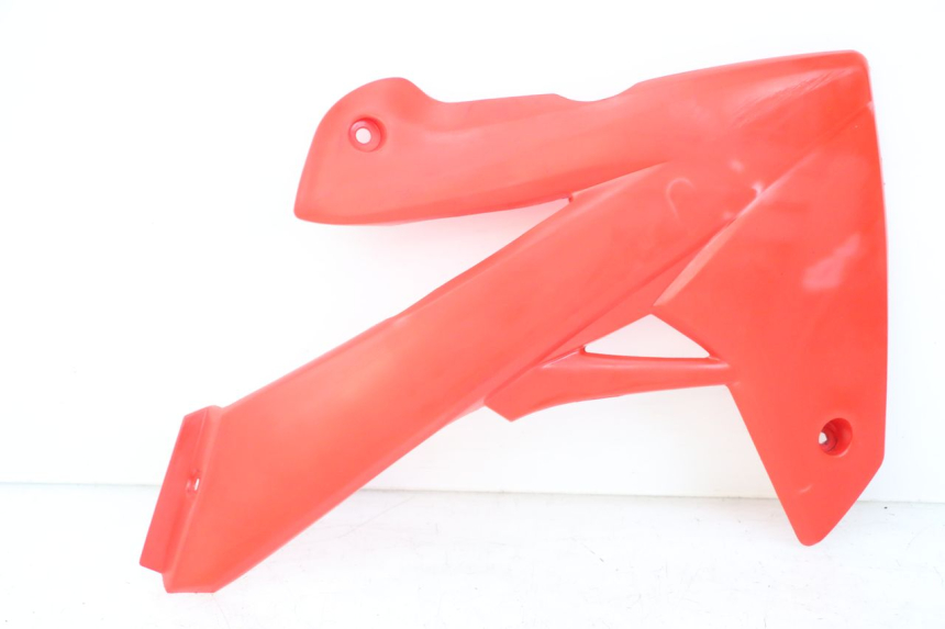 photo de CARENA RIEJU MRT 50 (2018 - 2021)