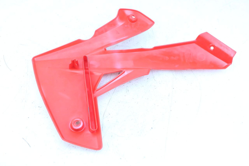 photo de CARENA RIEJU MRT 50 (2018 - 2021)