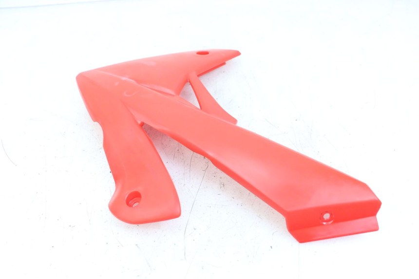 photo de CARENA RIEJU MRT 50 (2018 - 2021)