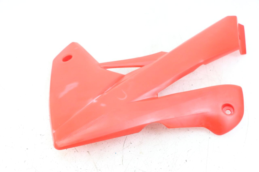 photo de CARENA RIEJU MRT 50 (2018 - 2021)