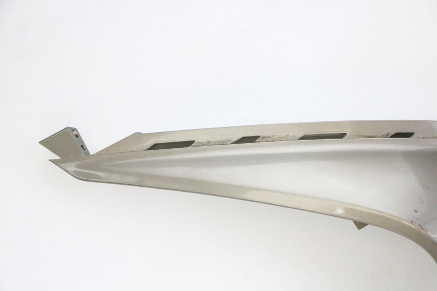 photo de CARENA PEUGEOT SATELIS 125 (2013 - 2018)