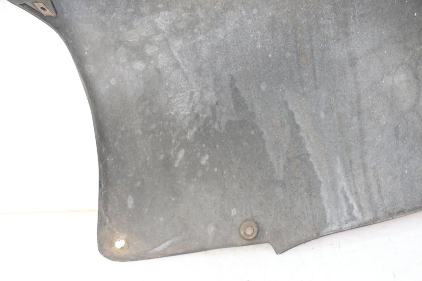 photo de CARENA APRILIA RS 50 (1999 - 2005)