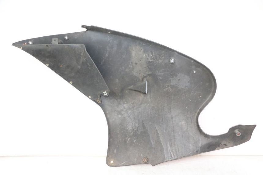 photo de CARENA APRILIA RS 50 (1999 - 2005)