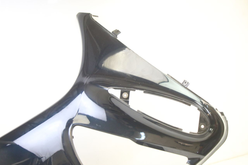 photo de CARENA HONDA ST PAN EUROPEAN 1300 (2002 - 2013)