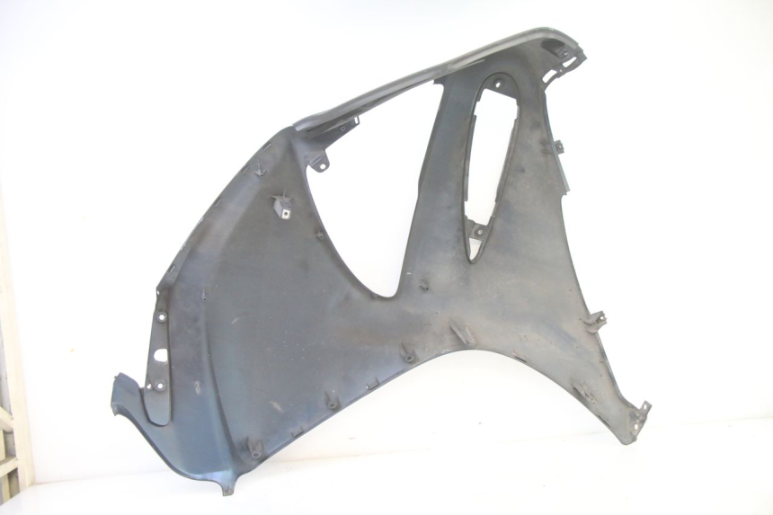 photo de CARENA HONDA ST PAN EUROPEAN 1300 (2002 - 2013)