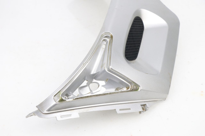 photo de CARENA PEUGEOT SUM UP 125 (2008 - 2013)