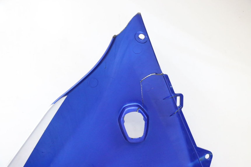 photo de CARENA SUZUKI GSX F GSXF 650 (2007 - 2015)