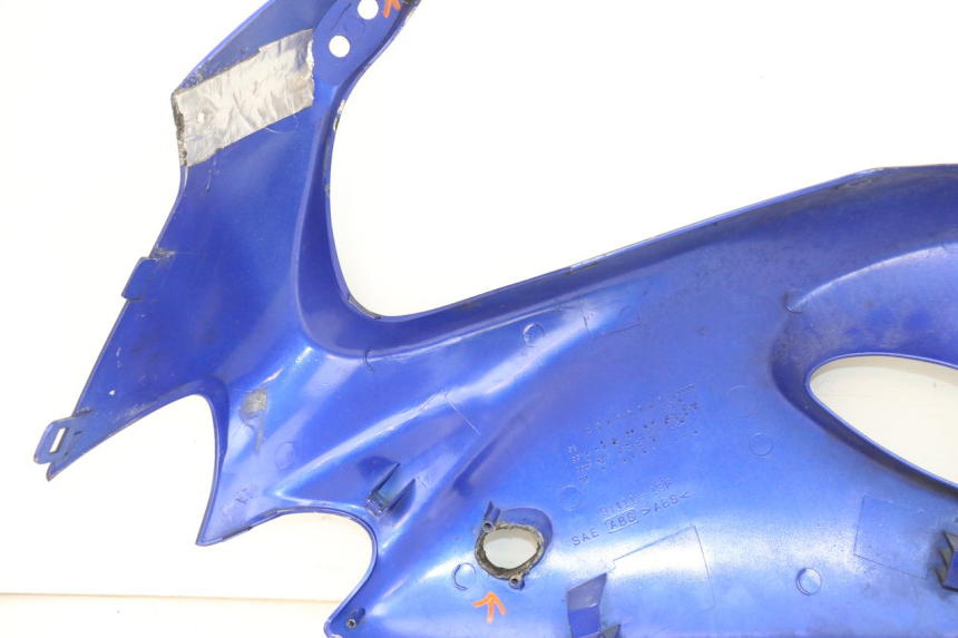 photo de CARENA SUZUKI SV S 650 (1999 - 2002)