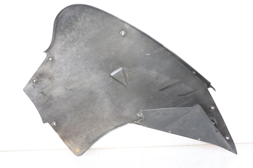photo de CARENA APRILIA RS 50 (1999 - 2005)