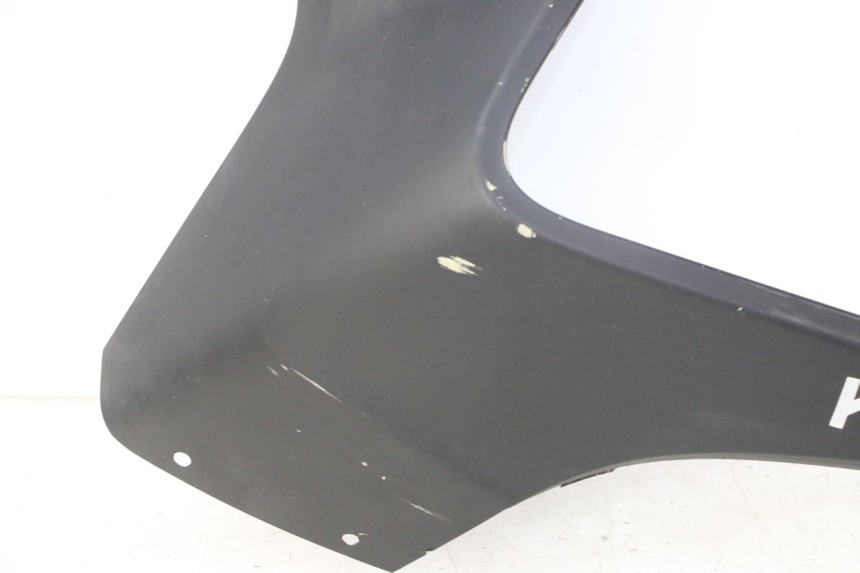 photo de CARENA KYMCO DINK STREET 125 (2009 - 2014)