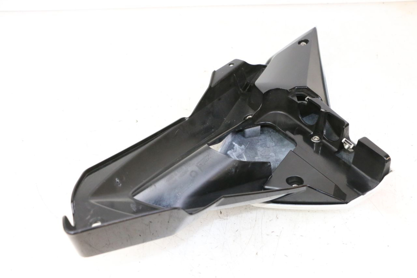 photo de CARENA BMW G310 R 310 (2016 - 2020)