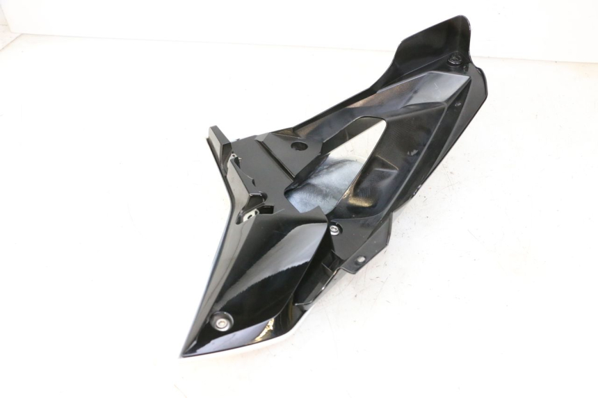 photo de CARENA BMW G310 R 310 (2016 - 2020)