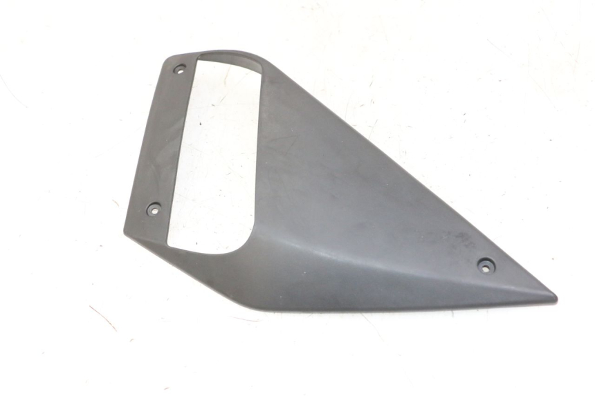photo de CARENA GILERA NEXUS 300 (2008 - 2013)