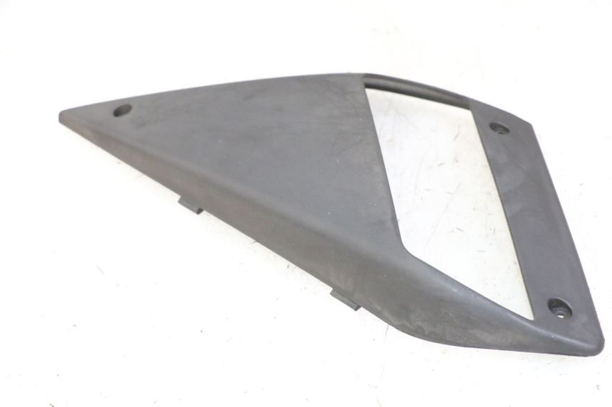 photo de CARENA GILERA NEXUS 300 (2008 - 2013)