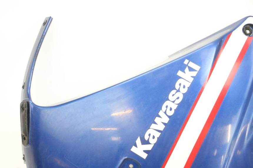 photo de CARENA KAWASAKI GPX R WARBIRD 600 (1988 - 1993) - Dettaglio del componente