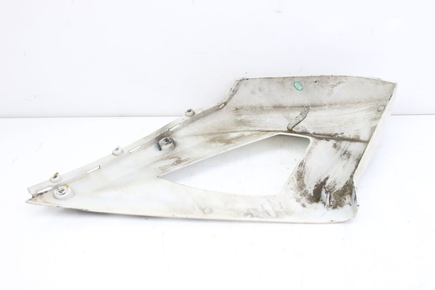 photo de PARAFANGO LATERALE ANTERIORE SINISTRO KEEWAY TX 50 (2008 - 2015)