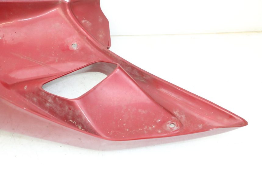 photo de CARENA TRIUMPH SPRINT 900 (1995 - 1998)