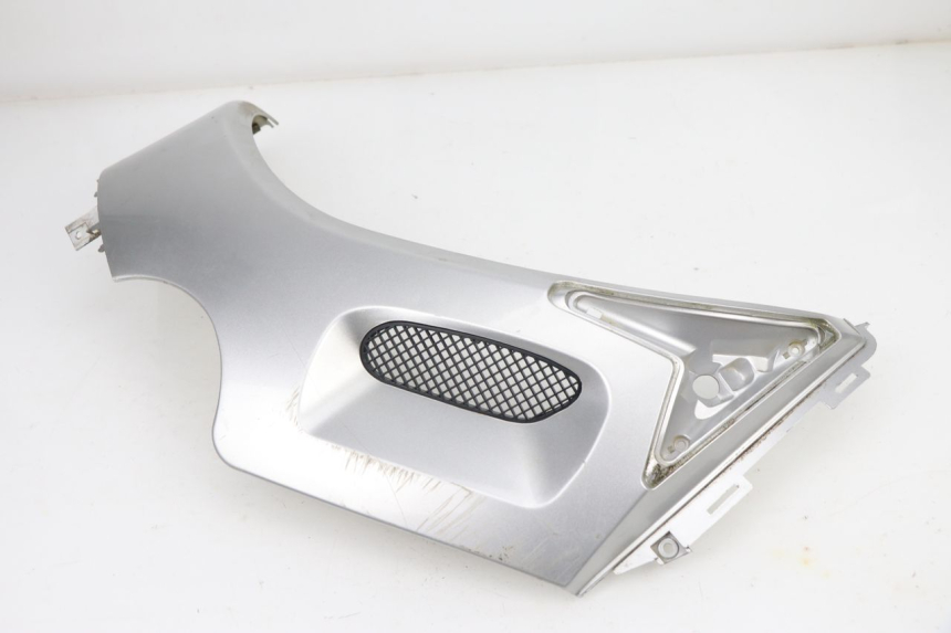 photo de CARENA PEUGEOT SUM UP 125 (2008 - 2013)