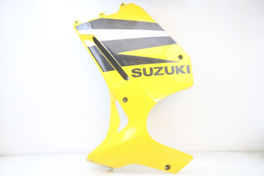 photo de CARENA SUZUKI GS F 500 (2004 - 2007)