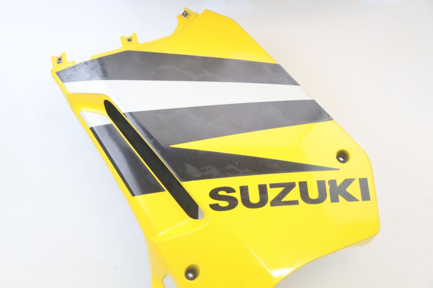 photo de CARENA SUZUKI GS F 500 (2004 - 2007)