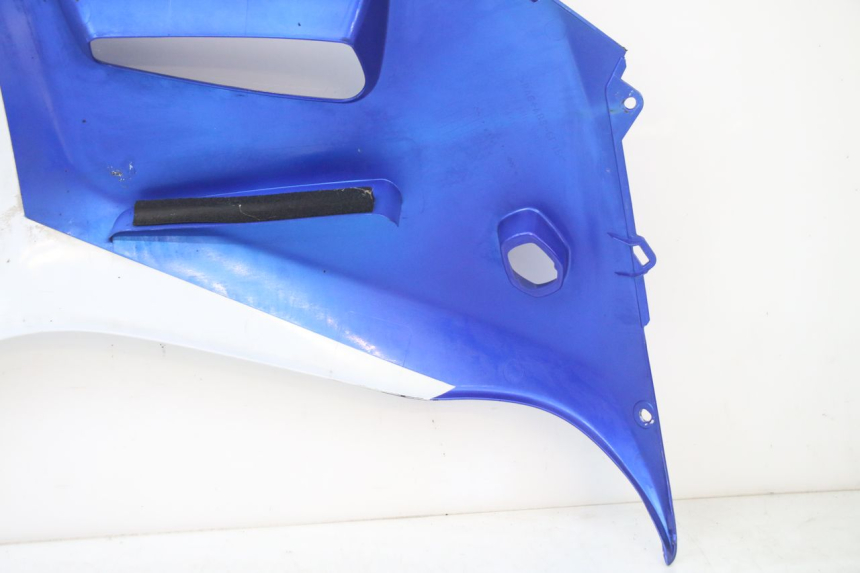 photo de CARENA SUZUKI GSX F GSXF 650 (2007 - 2015)