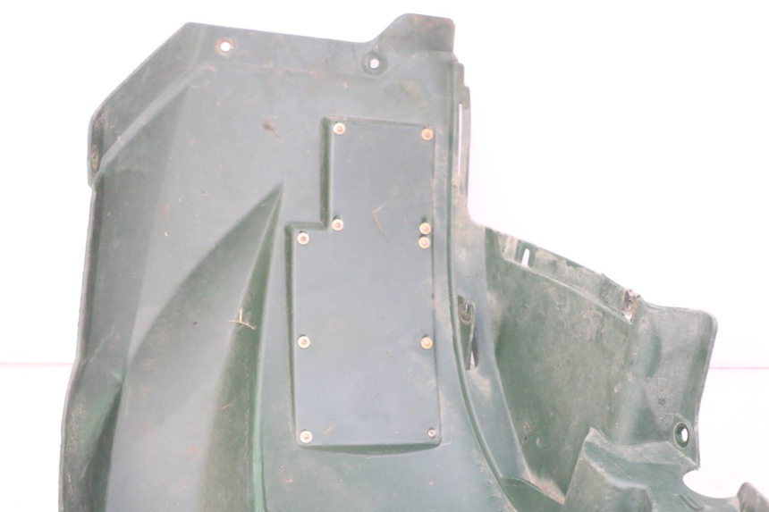 photo de CARENA YAMAHA YFM GRIZZLY 550 (2008 - 2015) - Primo piano tecnico