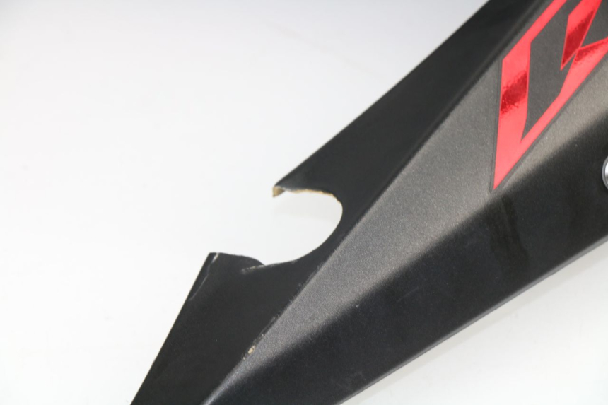 photo de Pannello laterale anteriore sinistro YAMAHA YZF R1 1000 (2002 - 2003)