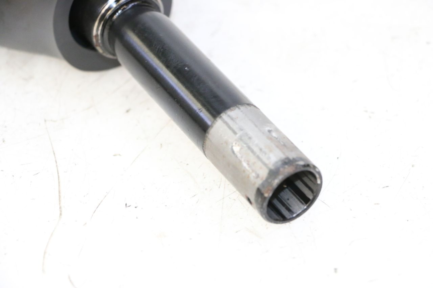 photo de FORCELLA SEGWAY NINEBOT F65I 1