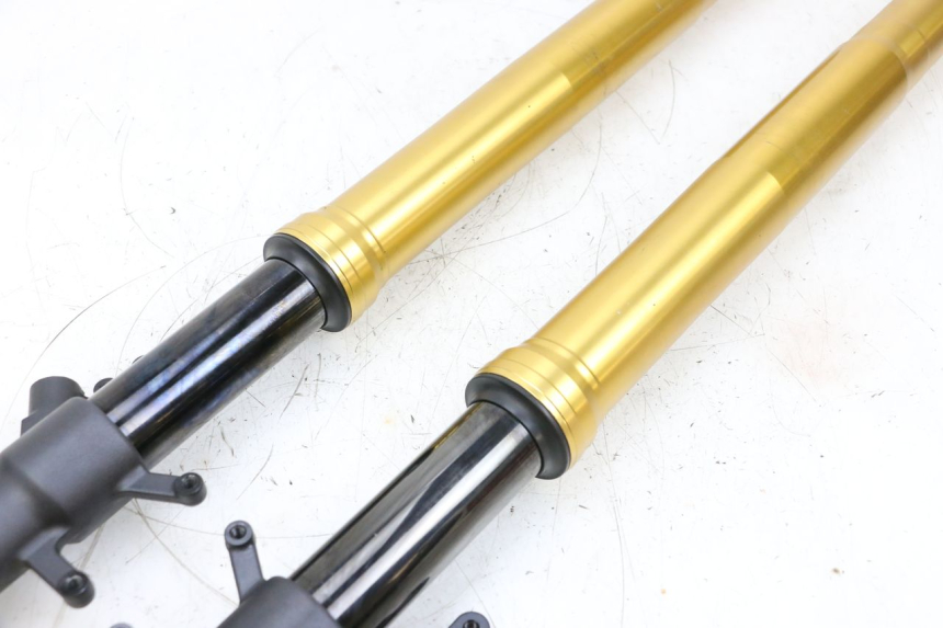 photo de FORCELLA SUZUKI GSXR GSX-R 1000 (2003 - 2004) - Caratteristiche distintive