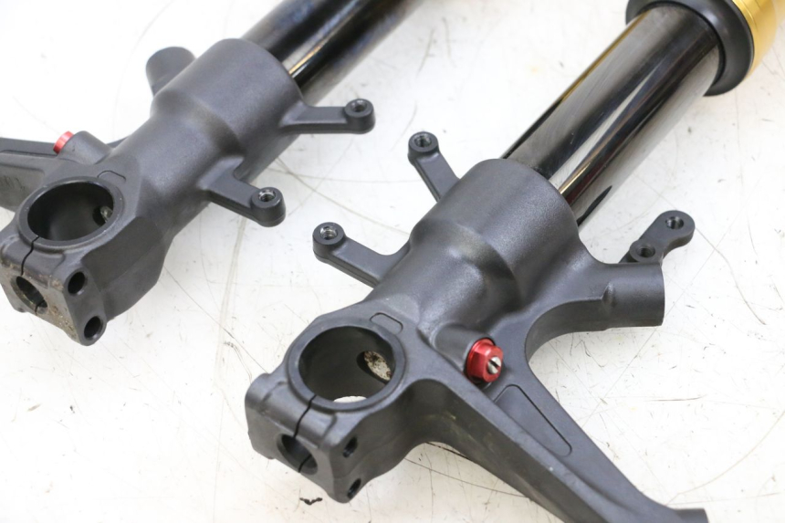 photo de FORCELLA SUZUKI GSXR GSX-R 1000 (2003 - 2004) - Zoom sui componenti