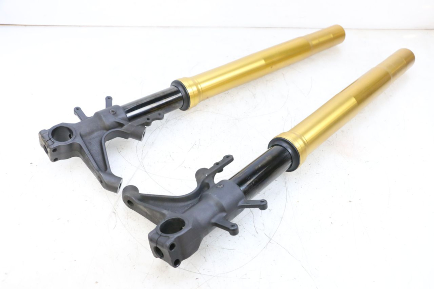 photo de FORCELLA SUZUKI GSXR GSX-R 1000 (2003 - 2004) - Dettaglio del componente