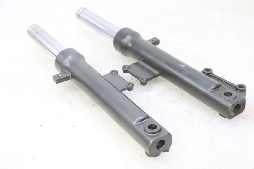 photo de STELO FORCELLA KYMCO AGILITY NAKED RENOUVO 2T 50 (2011 - 2018)