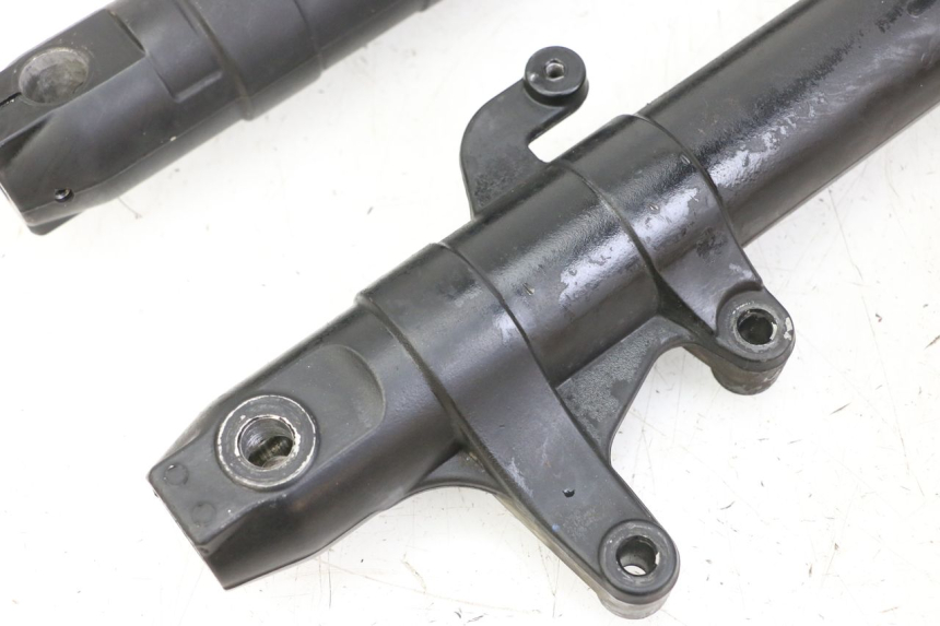 photo de STELO FORCELLA APRILIA RS 50 (1999 - 2005)