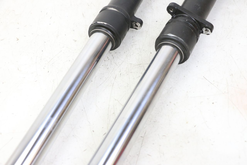 photo de STELO FORCELLA APRILIA RS 50 (1999 - 2005)