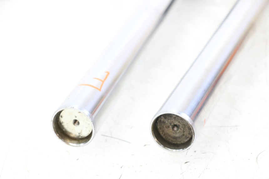 photo de STELO FORCELLA APRILIA RS 50 (1999 - 2005)