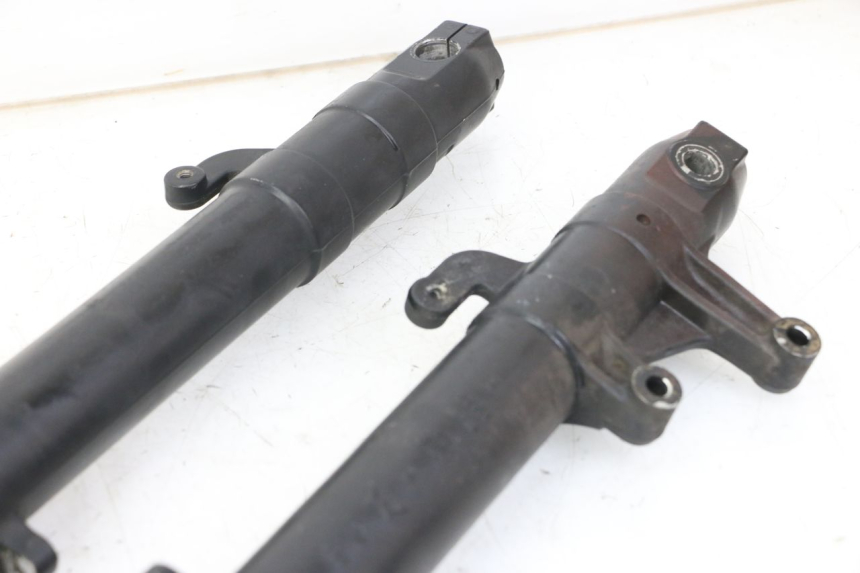 photo de STELO FORCELLA APRILIA RS 50 (1999 - 2005)