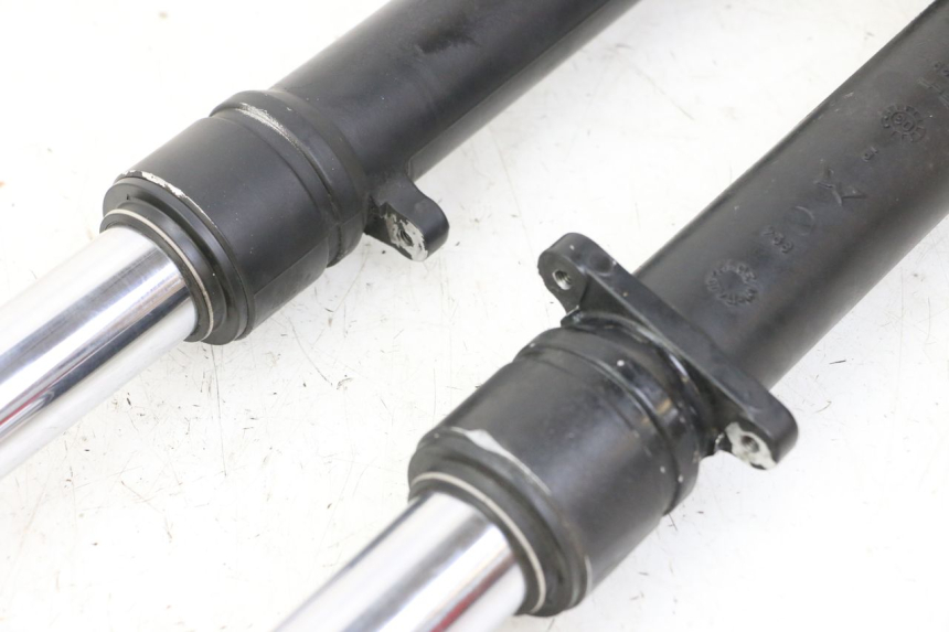 photo de STELO FORCELLA APRILIA RS 50 (1999 - 2005)