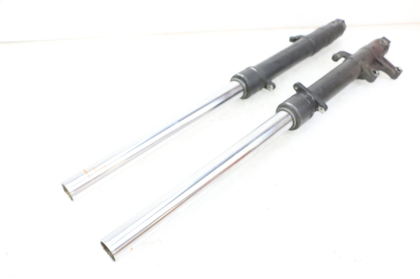 photo de STELO FORCELLA APRILIA RS 50 (1999 - 2005)